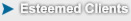 Esteemed Clients